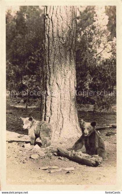 Yosemite Valley Yosemite-National Park California USA Braun Baer