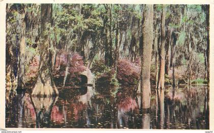 CPA Cypress Gardens Oakley South Carolina