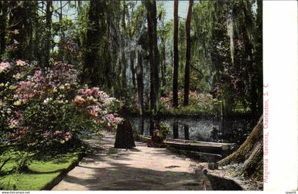 CPA Magnola Gardens Charleston SC
