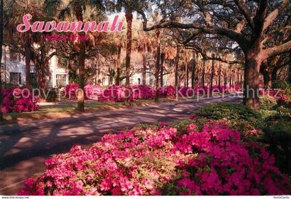 Savannah Georgia Victory Drive