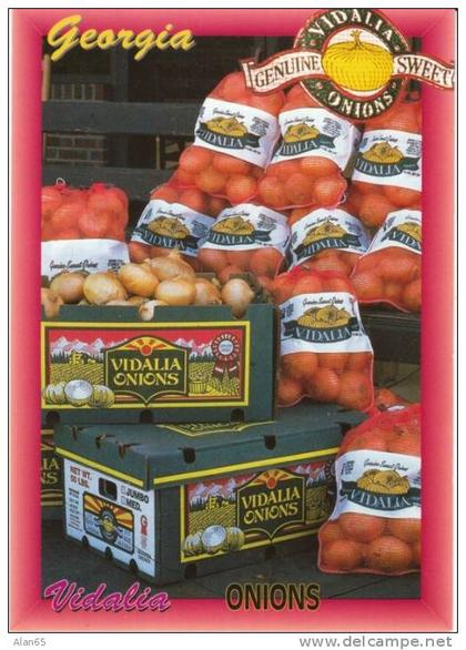Vidalia GA Georgia, Famous Onions Farming Agriculture Product, on c1990s/2000s Vintage Postcard