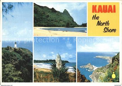 Hawaii US-State Nordkueste Kauai Leuchtturm Strand