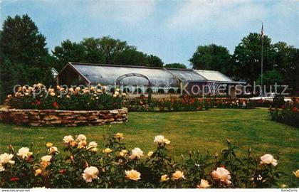 Davenport Iowa Municipal Rose Garden Vanderveer Park Roses