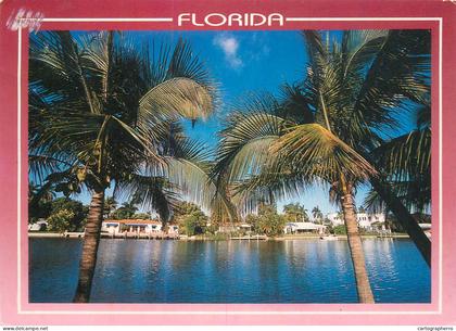 A5049 United States FL Florida