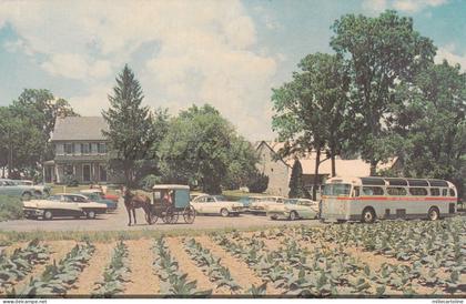 PENNSYLVANIA - Lancaster, The Amish Farm & House, Postcard