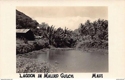 Hawaii - MAUI - Lagoon in Maliko Gulch - REAL PHOTO - Publ. unknown