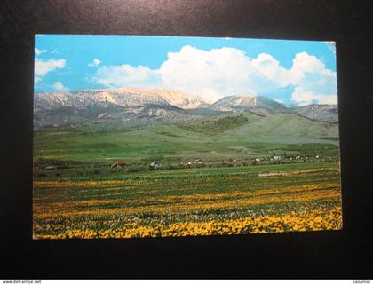 MOUNT HAGGIN Montana Anaconda Missoula Philipsburg Drummond cancel ANACONDA to Sweden postcard USA