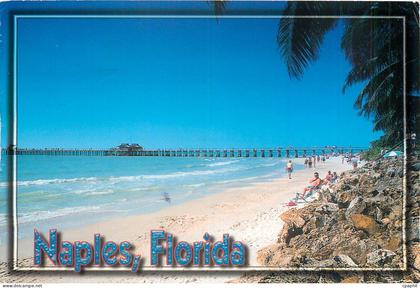 CPM Naples Florida Naples on the Gulf The View of the Naples Pier shows the clear blue sky