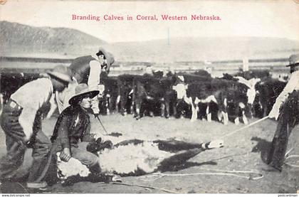 Usa - ALLIANCE (NE) Western Nebraska - Branding Calves in Corral - Publ. Miller Bros. 10