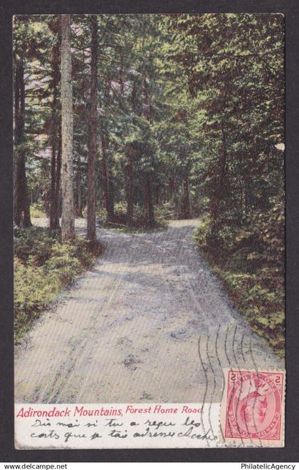 Postcard, UNITED STATES, Adirondack Mountains, Forest Home Road