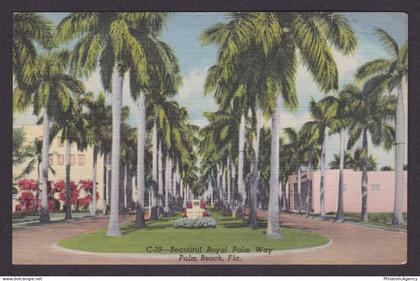 Vintage postcard USA Palm Beach FL Royal Palm Way Palms Street View