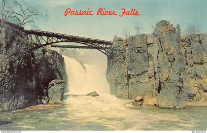 B527 US Great Falls of Passaic River Paterson New Jersey postcard