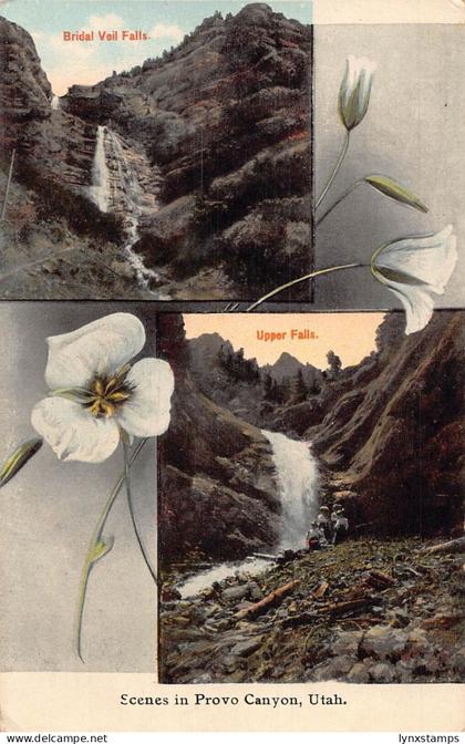 US Utah Provo Canyon Bridal Veil Falls Upper Falls Flowers vintage postcard