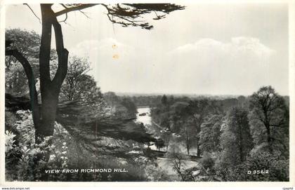 CPM View from Richmond Hill