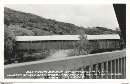 Blenheim South Carolina