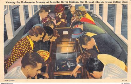 B674 US Underwater Scenery at Beautiful Silver Springs Florida Boat postcard