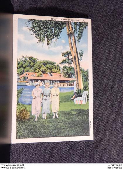 USA Silver Springs -39__(14138)