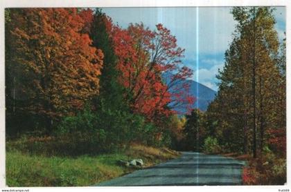 AK 259866 USA - Great Smoky Mountains National Park