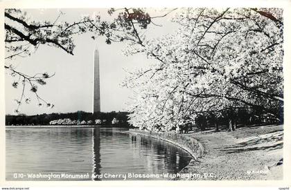 CPM Washington Monument and Cherry Blossoms Washington DC