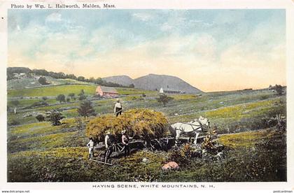 Usa - WHITE MOUNTAINS (NH) Haying scene