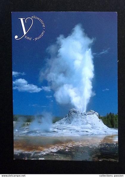 cp, Etats Unis, WY, Wyoming, Yellowstone National Park, castle Geyser, vierge, ed. Impact