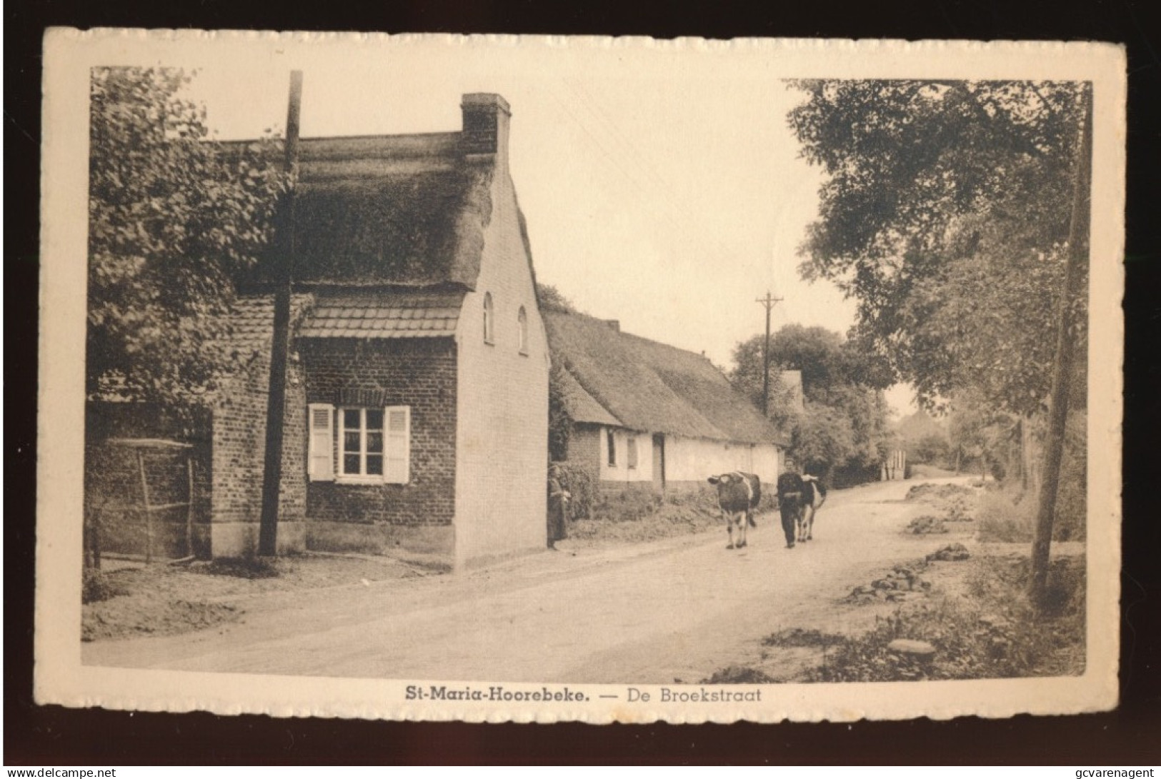 STE MARIA HOOREBEKE        DE BROEKSTRAAT