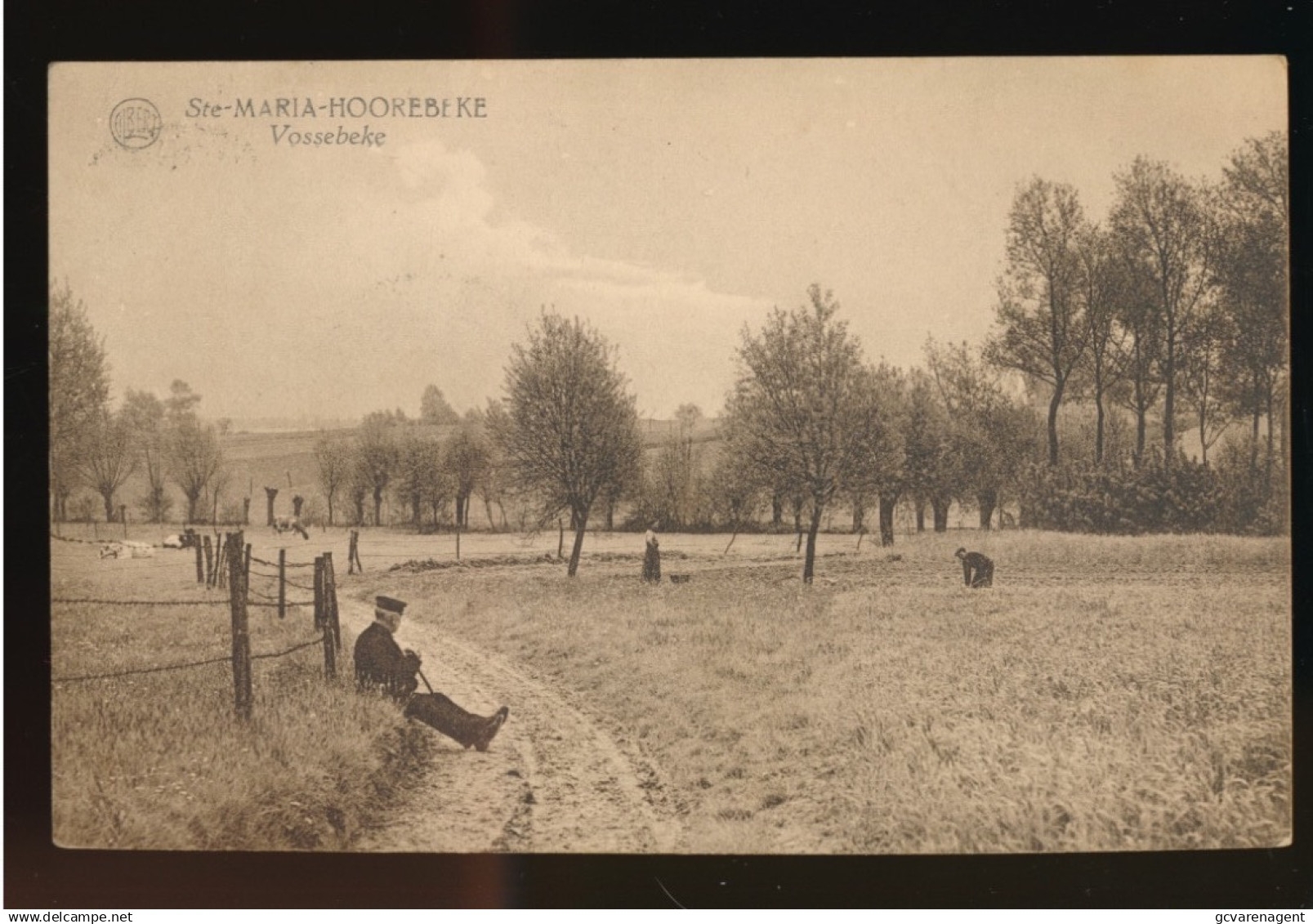 STE MARIA HOOREBEKE        VOSSEBEKE