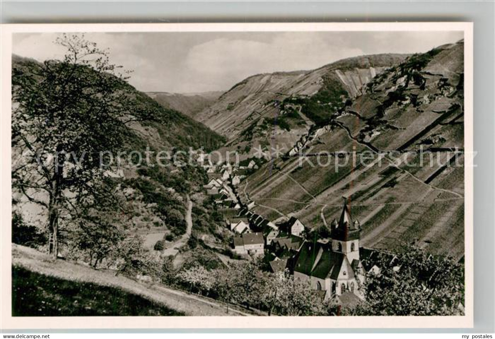 Steeg Bacharach Panorama