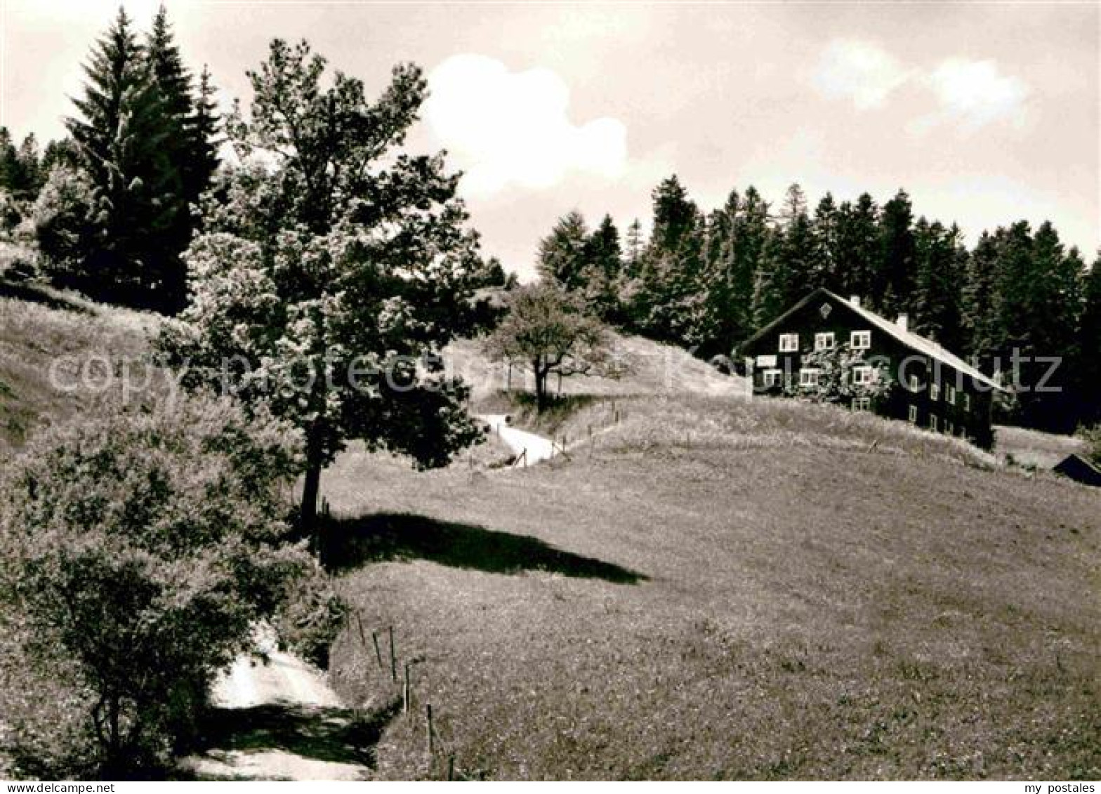 Steibis Oberstaufen Bayern Gaesteheim Matt