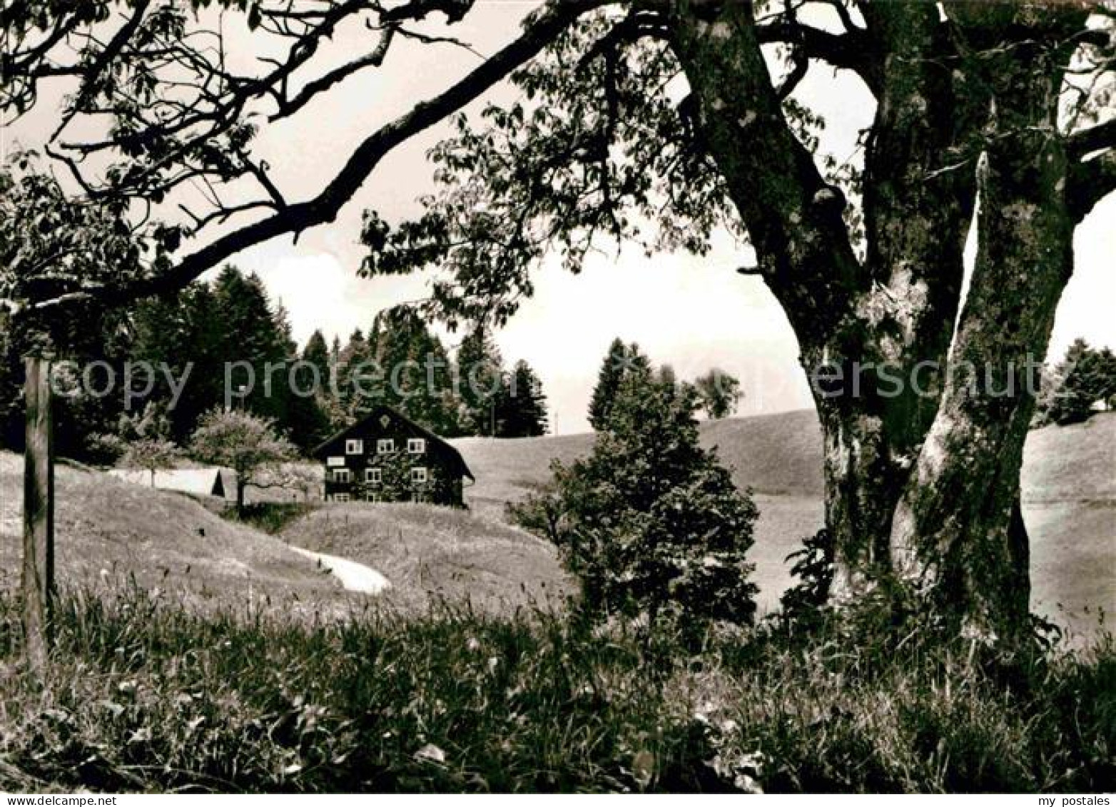 Steibis Oberstaufen Bayern Gaesteheim Matt