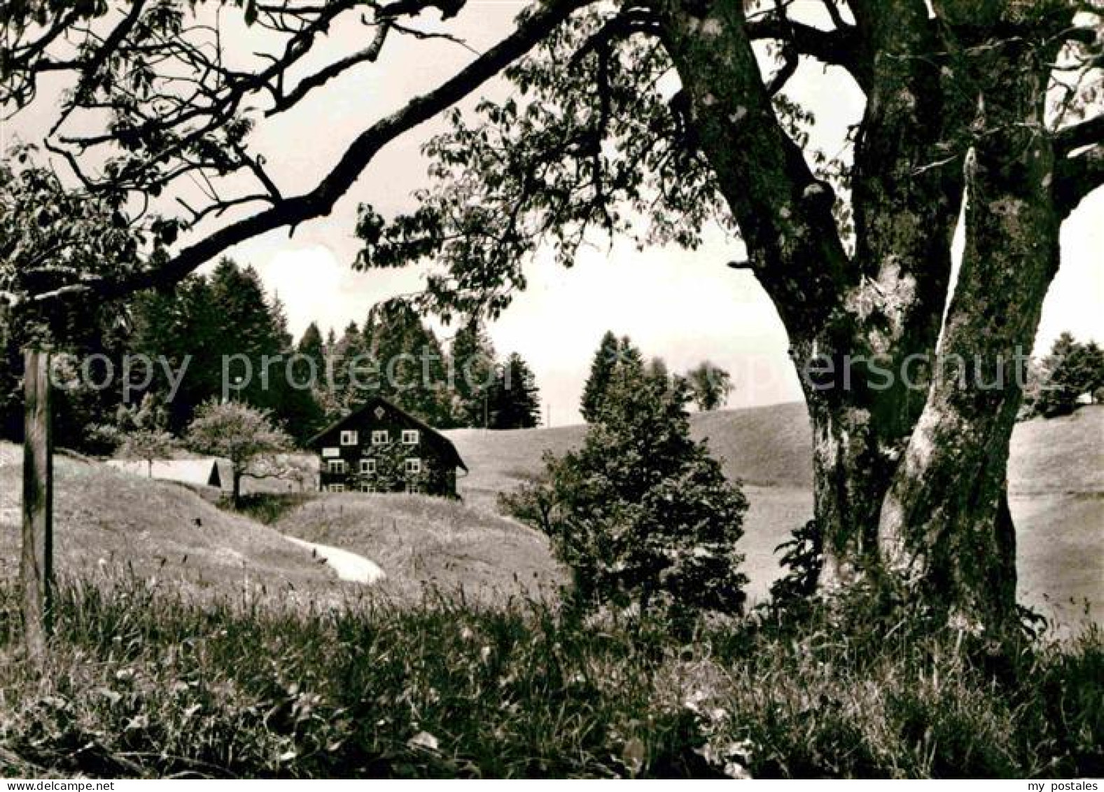 Steibis Oberstaufen Bayern Gaesteheim Matt