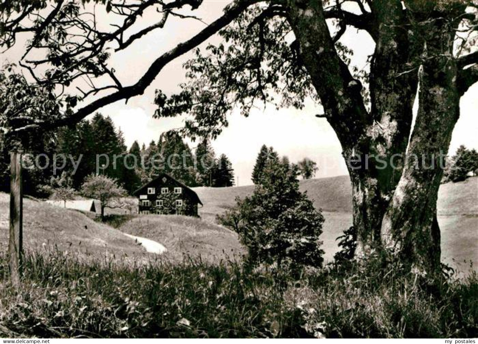 Steibis Oberstaufen Bayern Gaesteheim Matt