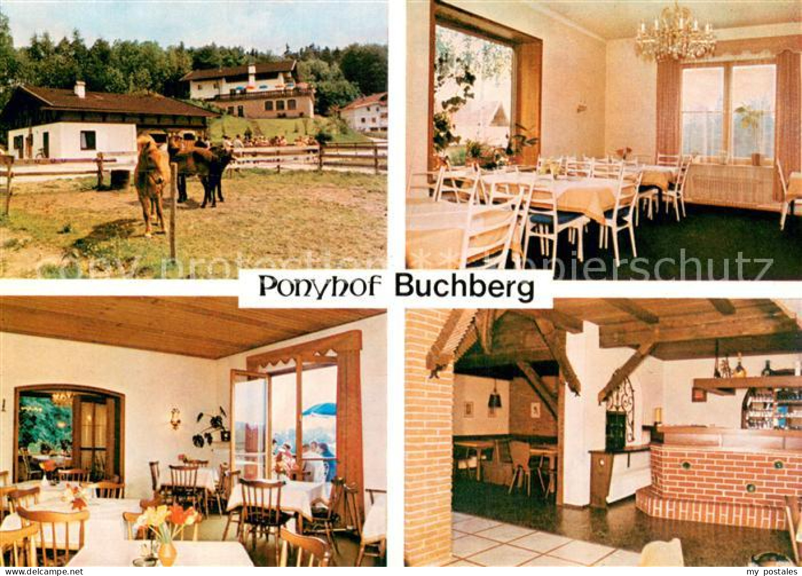 Stein Traun Ponyhof Buchberg Teilansichten