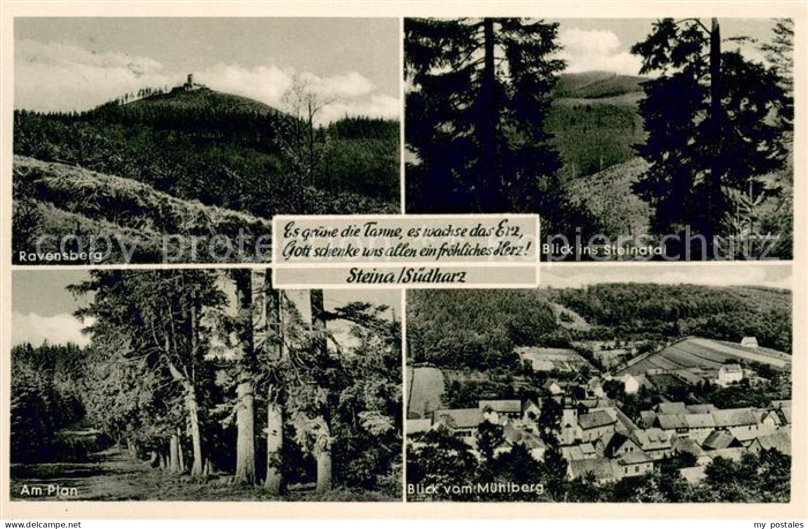 Steina Suedharz Ravensberg Steinatal Am Plan Blick vom Muehlberg