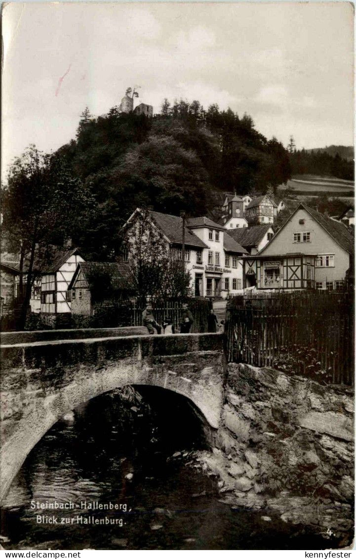 Steinbach-Hallenberg/Thür. - Blick zur Hallenburg