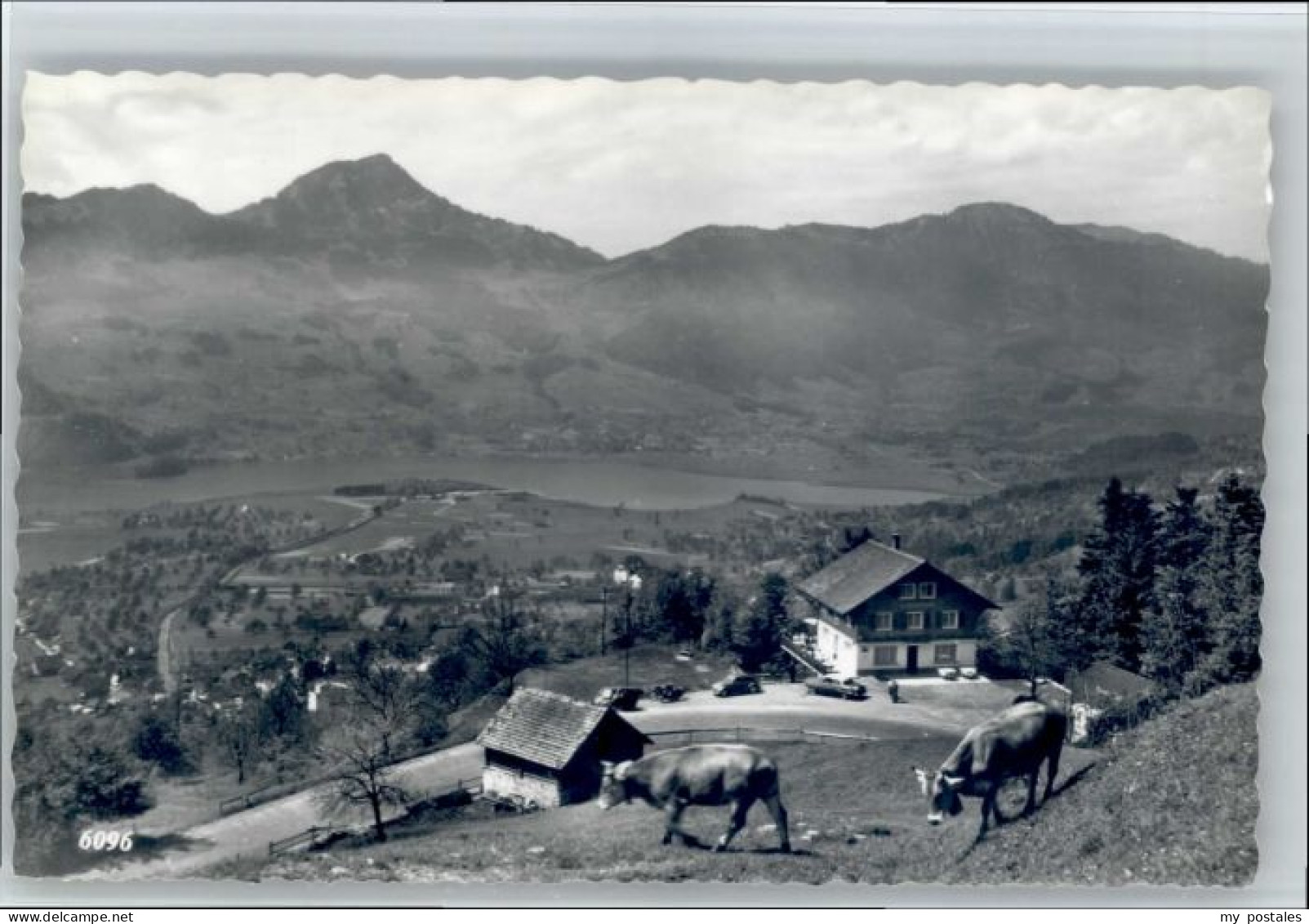 Steinen Wiesental Steinen Cafe Restaurant Spiegelberg