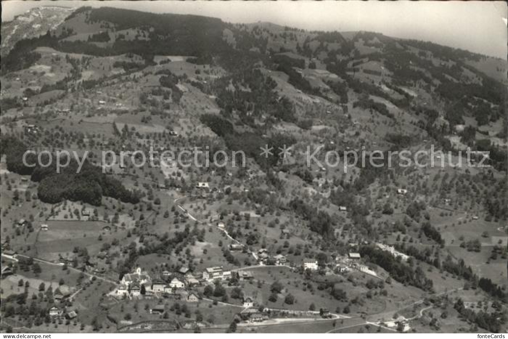 Steinerberg Fliegeraufnahme