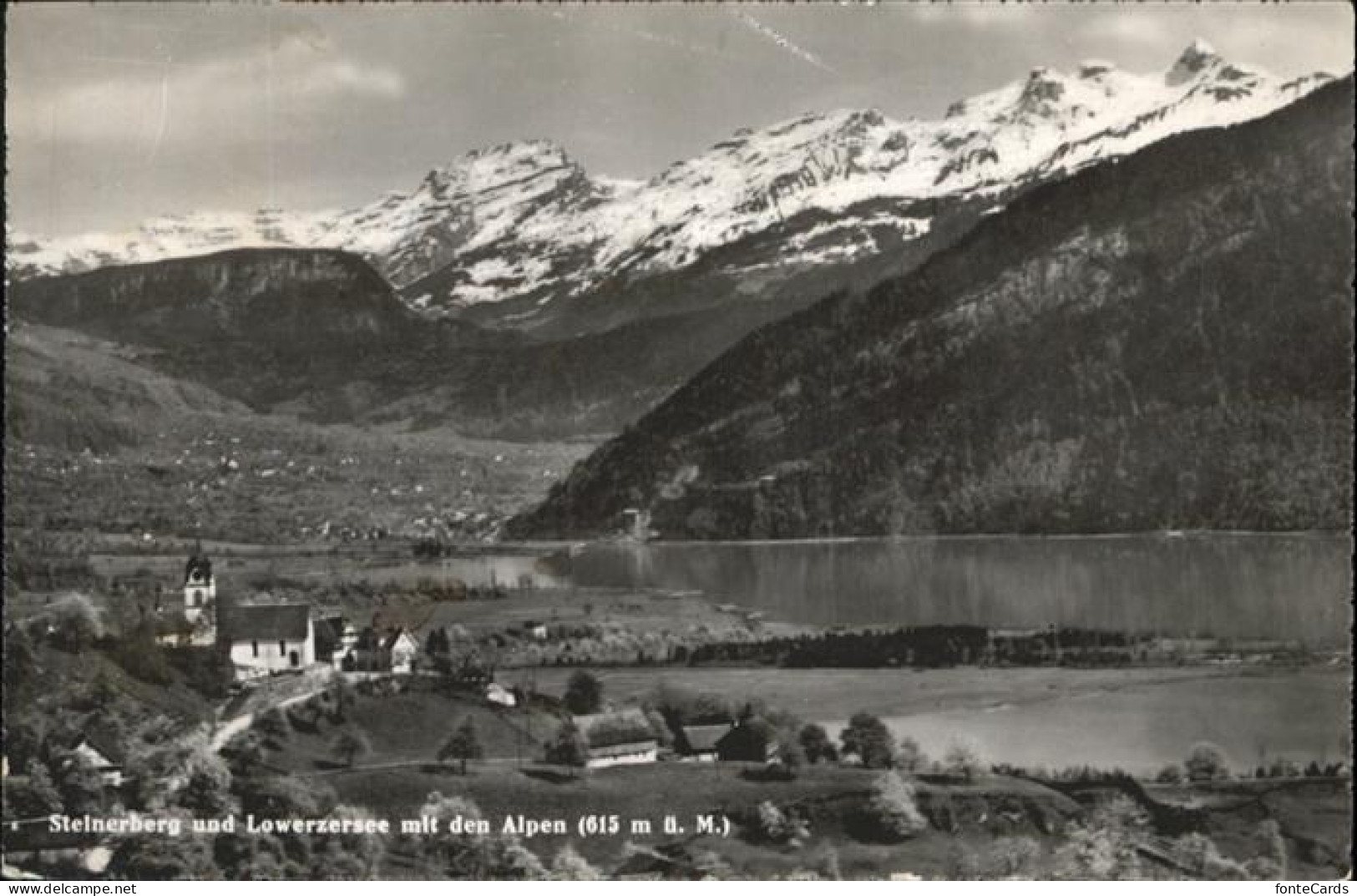 Steinerberg Lowerzersee Alpen