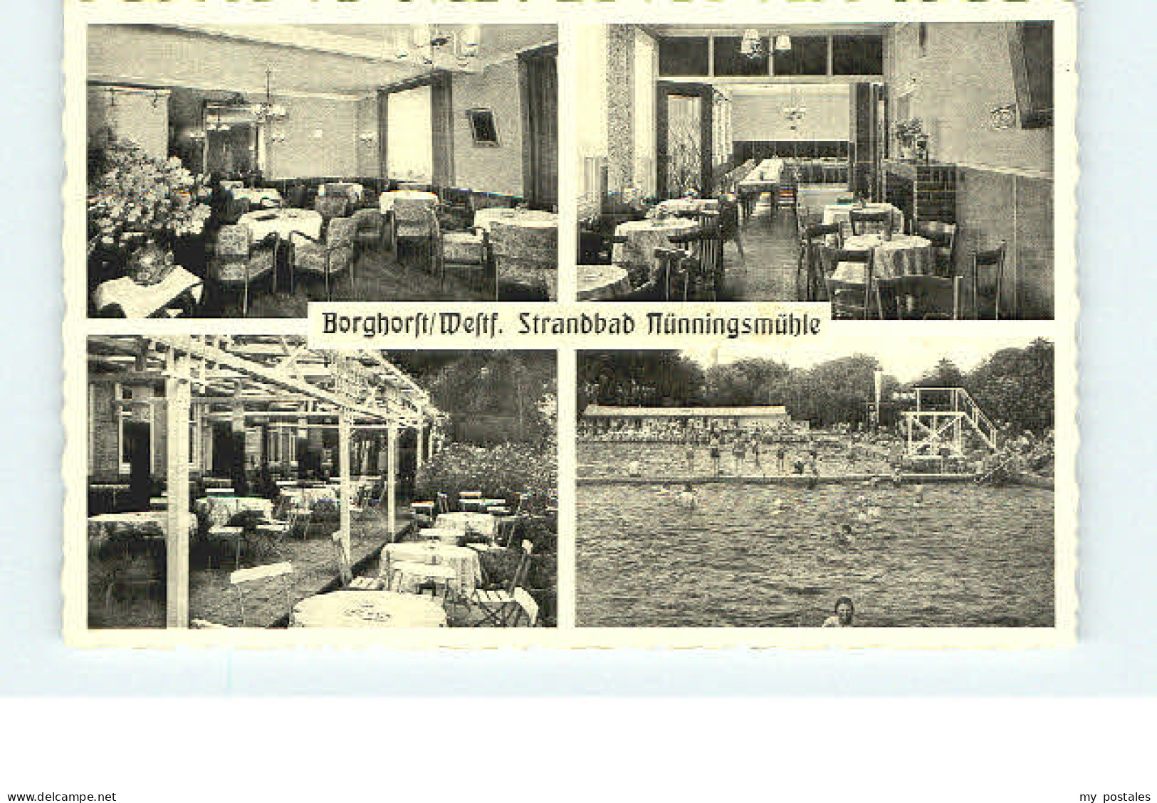 Steinfurt Westfalen Steinfurt Borghorst