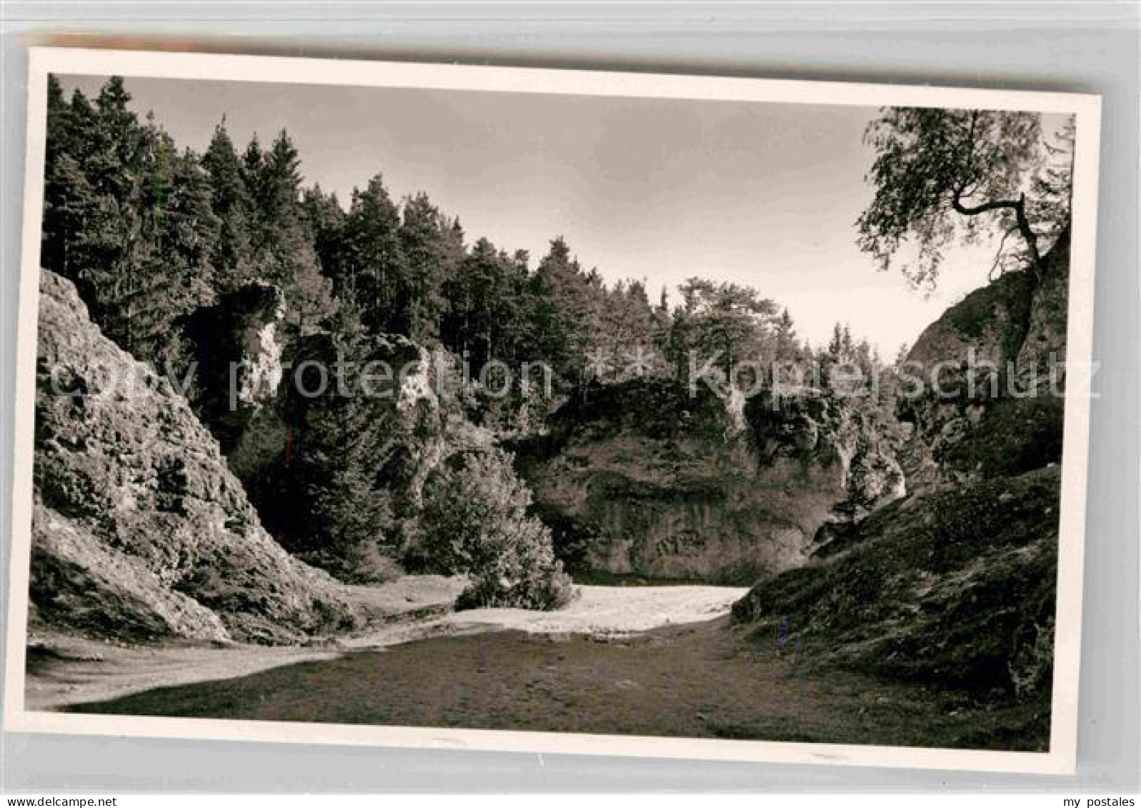 Steinheim Albuch Felsenmeer Wental
