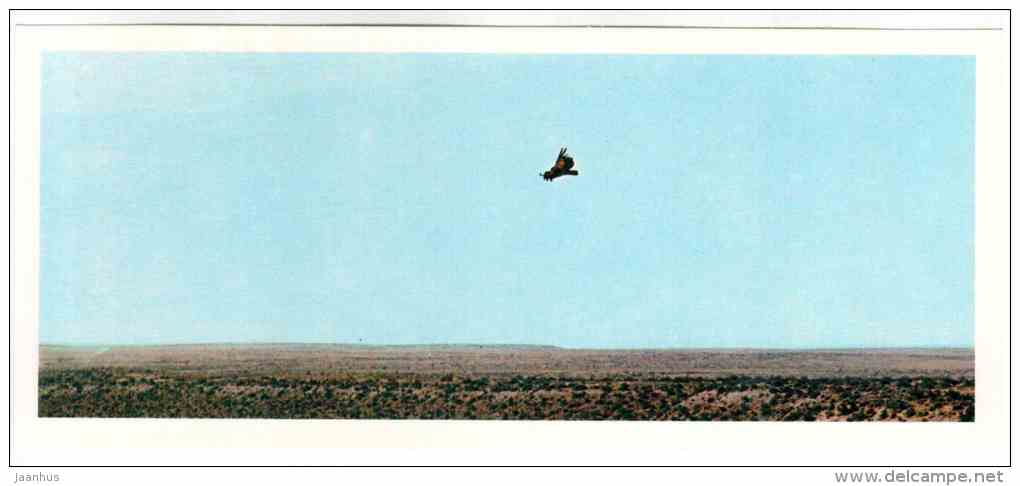 Steppe - bird - Badhyz State Nature Reserve - 1981 - Turkmenistan USSR - unused