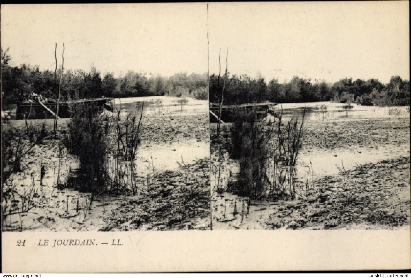 Stereo CPA Jordanien, Partie am Jordan, Wasserpflanzen, Vegetation