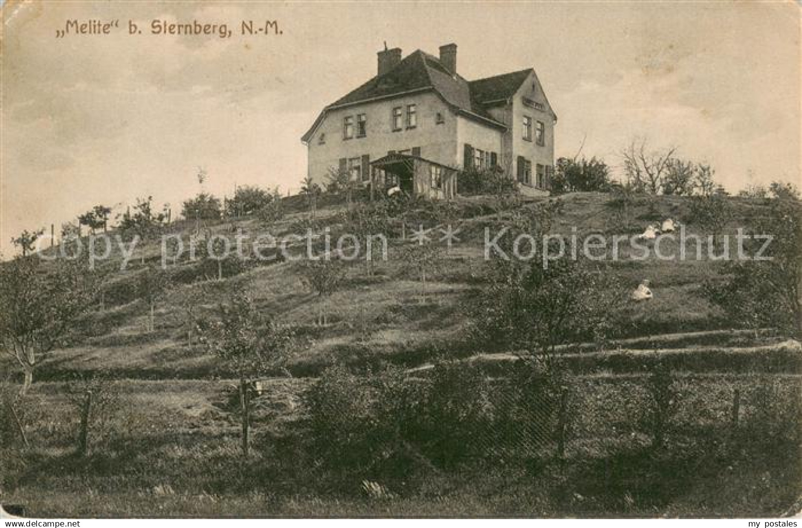 Sternberg Neumark Osowo Melite