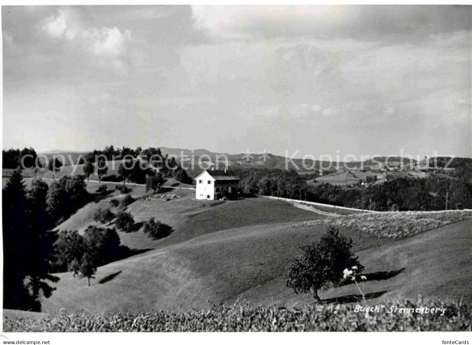 Sternenberg ZH Buech