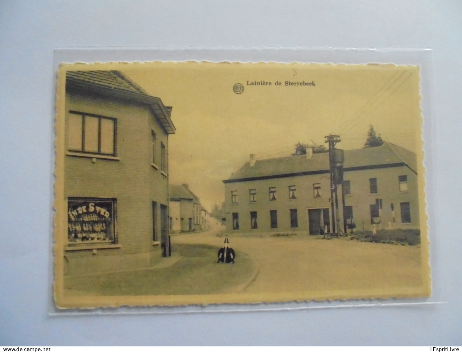 STERREBEEK Lainière de Sterrebeek  Brabant Flamand  Carte Postale Postcard CP PK AK