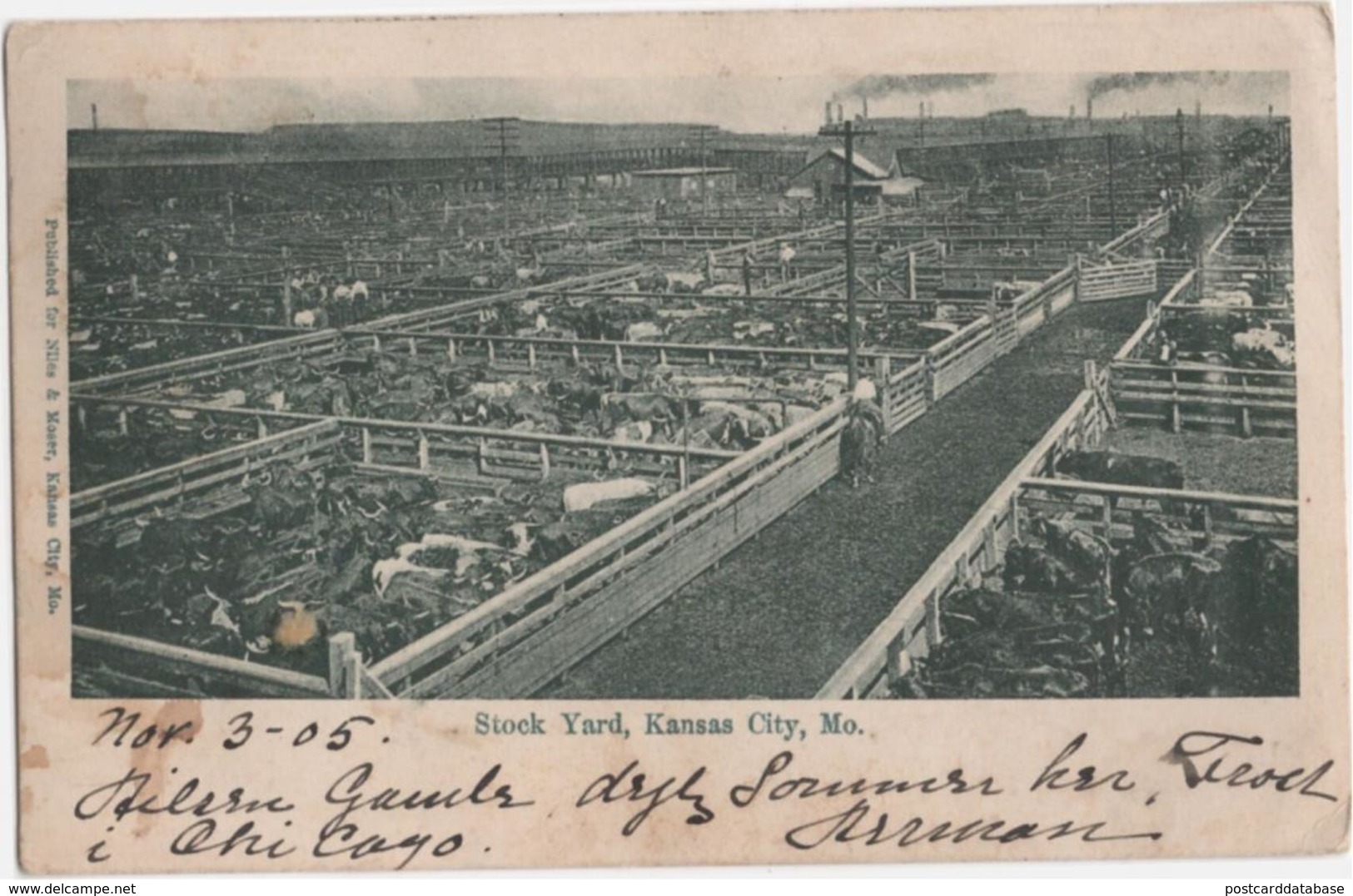 Stock Yard, Kansas City, Mo. - & farming, cattle