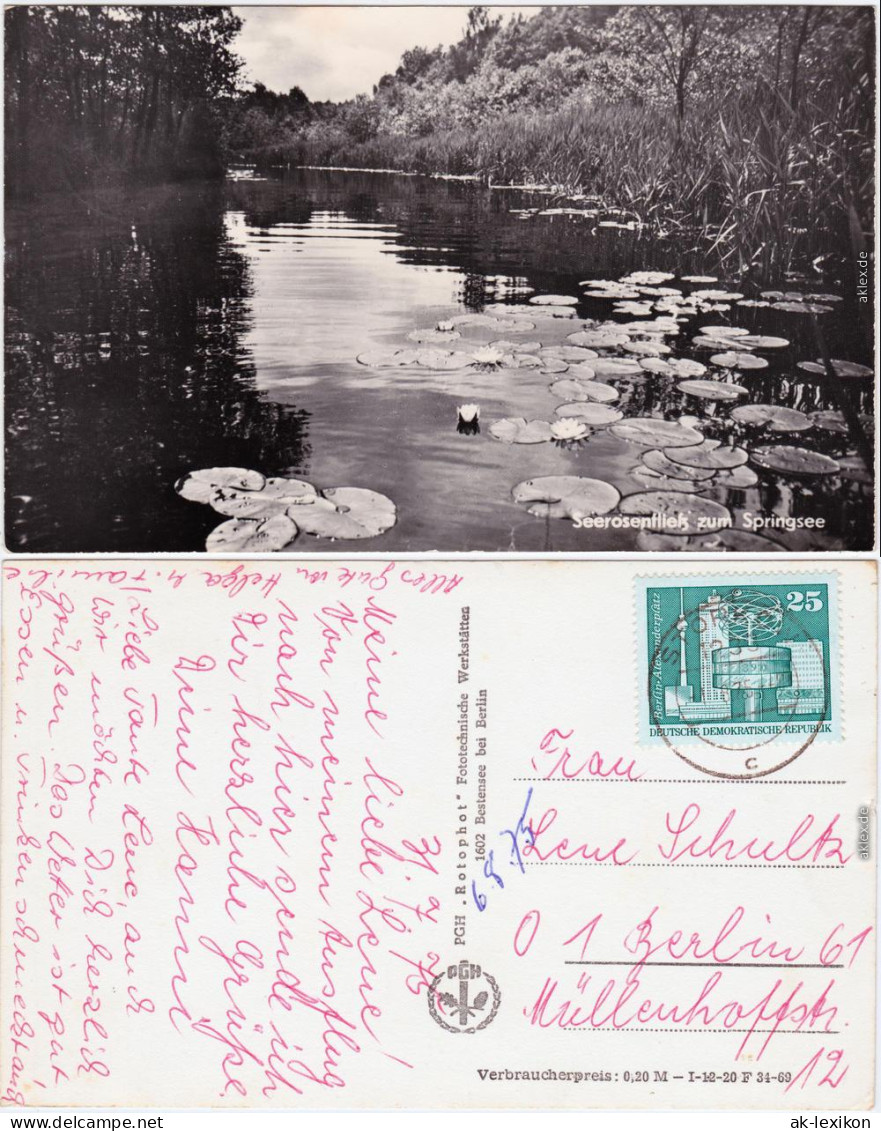 Storkow (Mark) Seerosen am Springsee Ansichtskarte  1969