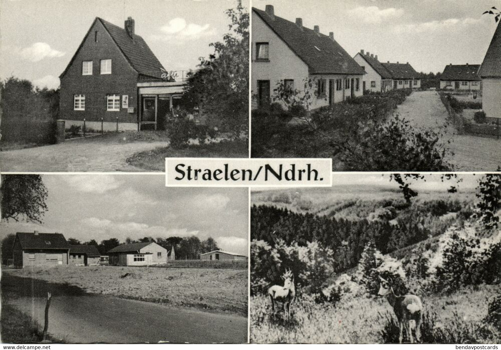 STRAELEN, Mehrbildkarte, Adelg. Stienen Lebensmittel (1950s) AK