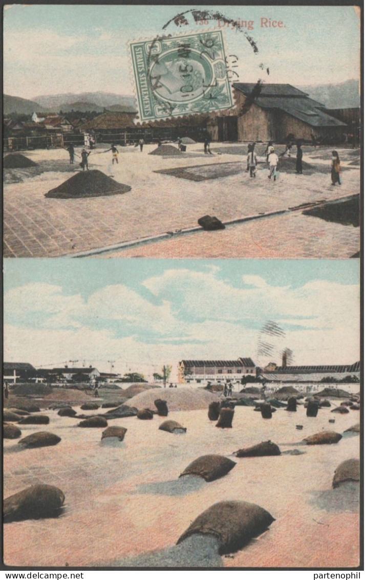 Straits Settlements - Malaysia Penang - 1c. - Postcard - 1910