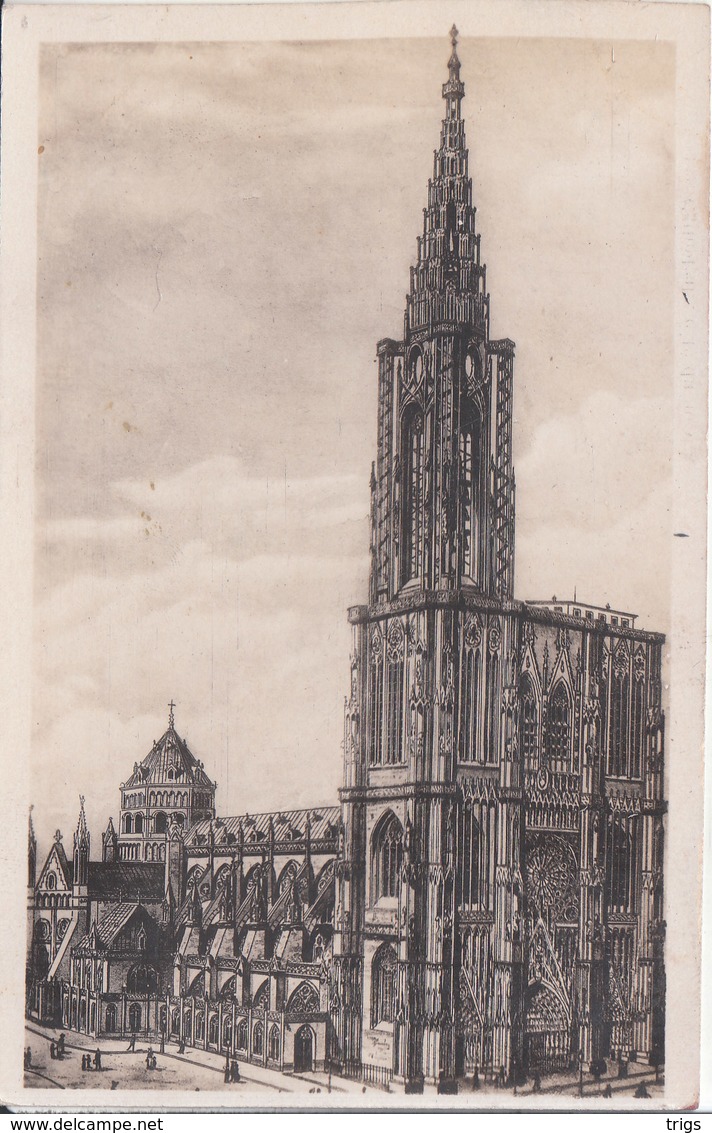 Strasbourg - Cathédrale (côté du Nord)
